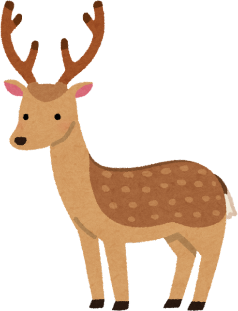 Illustration of a Sika Deer with Antlers